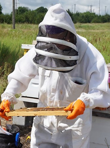 Beekeeping